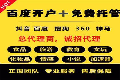 竞价代运营的技巧与经验：某大企业的成功之路